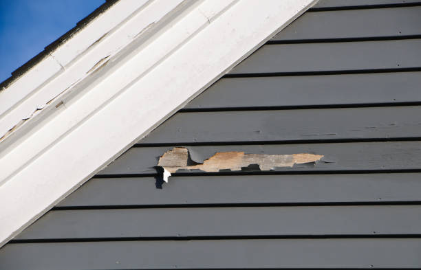  Laurium, MI Junk Removal Pros